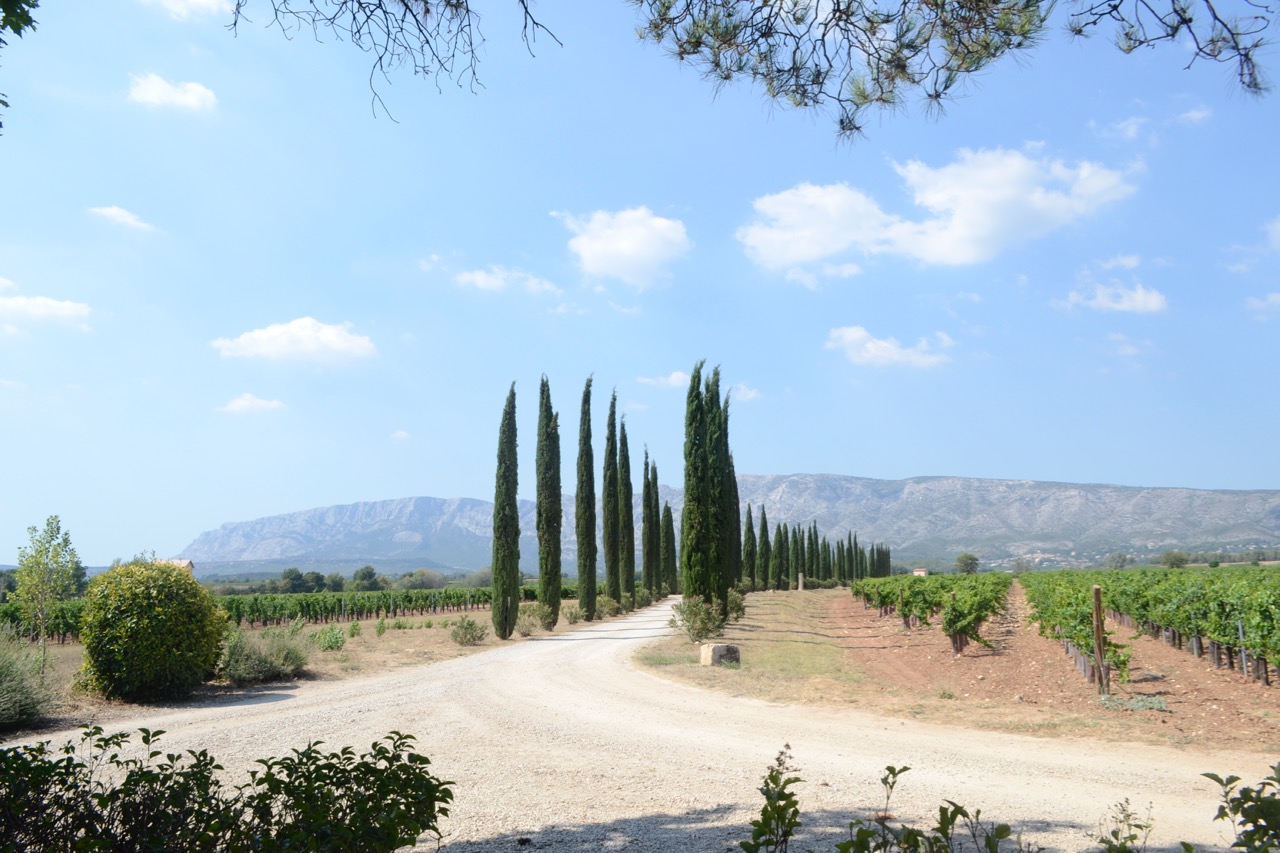 Provence Wine Tours AixEnProvence Vineyards  GastroGays