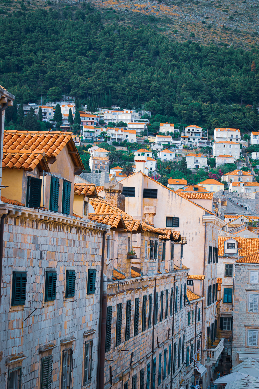 Dubrovnik to Kotor: A Delicious Coastal Route along the Adriatic from